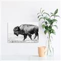 Picture of Buffalo March _GroupedProduct_Rectangle_Landscape_Photography _GroupedProduct_Rectangle_Landscape_Unframed_Print_Only_