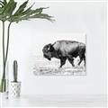 Picture of Buffalo March _GroupedProduct_Rectangle_Landscape_Photography _GroupedProduct_Rectangle_Landscape_Unframed_Print_Only_