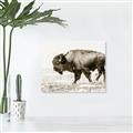 Picture of Buffalo March _GroupedProduct_Rectangle_Landscape_Photography _GroupedProduct_Rectangle_Landscape_Unframed_Print_Only_