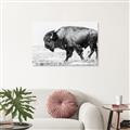 Picture of Buffalo March _GroupedProduct_Rectangle_Landscape_Photography _GroupedProduct_Rectangle_Landscape_Unframed_Print_Only_