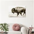 Picture of Buffalo March _GroupedProduct_Rectangle_Landscape_Photography _GroupedProduct_Rectangle_Landscape_Unframed_Print_Only_