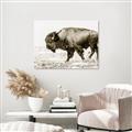 Picture of Buffalo March _GroupedProduct_Rectangle_Landscape_Photography _GroupedProduct_Rectangle_Landscape_Unframed_Print_Only_