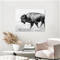 Picture of Buffalo March _GroupedProduct_Rectangle_Landscape_Photography _GroupedProduct_Rectangle_Landscape_Unframed_Print_Only_