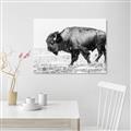 Picture of Buffalo March _GroupedProduct_Rectangle_Landscape_Photography _GroupedProduct_Rectangle_Landscape_Unframed_Print_Only_