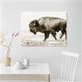 Picture of Buffalo March _GroupedProduct_Rectangle_Landscape_Photography _GroupedProduct_Rectangle_Landscape_Unframed_Print_Only_