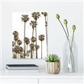 Picture of California Palms _GroupedProduct_Rectangle_Portrait_Photography _GroupedProduct_Rectangle_Portrait_Unframed_Print_Only_