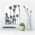 Picture of California Palms _GroupedProduct_Rectangle_Portrait_Photography _GroupedProduct_Rectangle_Portrait_Unframed_Print_Only_