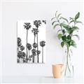 Picture of California Palms _GroupedProduct_Rectangle_Portrait_Photography _GroupedProduct_Rectangle_Portrait_Unframed_Print_Only_