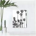 Picture of California Palms _GroupedProduct_Rectangle_Portrait_Photography _GroupedProduct_Rectangle_Portrait_Unframed_Print_Only_