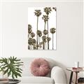 Picture of California Palms _GroupedProduct_Rectangle_Portrait_Photography _GroupedProduct_Rectangle_Portrait_Unframed_Print_Only_