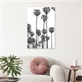 Picture of California Palms _GroupedProduct_Rectangle_Portrait_Photography _GroupedProduct_Rectangle_Portrait_Unframed_Print_Only_