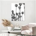 Picture of California Palms _GroupedProduct_Rectangle_Portrait_Photography _GroupedProduct_Rectangle_Portrait_Unframed_Print_Only_