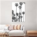 Picture of California Palms _GroupedProduct_Rectangle_Portrait_Photography _GroupedProduct_Rectangle_Portrait_Unframed_Print_Only_