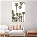 Picture of California Palms _GroupedProduct_Rectangle_Portrait_Photography _GroupedProduct_Rectangle_Portrait_Unframed_Print_Only_