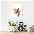 Picture of Cattails  _GroupedProduct_Rectangle_Portrait_Photography _GroupedProduct_Rectangle_Portrait_Unframed_Print_Only_