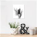 Picture of Cattails  _GroupedProduct_Rectangle_Portrait_Photography _GroupedProduct_Rectangle_Portrait_Unframed_Print_Only_