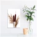 Picture of Cattails  _GroupedProduct_Rectangle_Portrait_Photography _GroupedProduct_Rectangle_Portrait_Unframed_Print_Only_