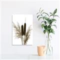 Picture of Cattails  _GroupedProduct_Rectangle_Portrait_Photography _GroupedProduct_Rectangle_Portrait_Unframed_Print_Only_
