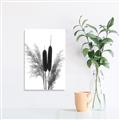 Picture of Cattails  _GroupedProduct_Rectangle_Portrait_Photography _GroupedProduct_Rectangle_Portrait_Unframed_Print_Only_