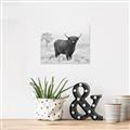 Picture of Cookie, the Cow  _GroupedProduct_Rectangle_Landscape_Photography _GroupedProduct_Rectangle_Landscape_Unframed_Print_Only_