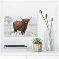 Picture of Cookie, the Cow  _GroupedProduct_Rectangle_Landscape_Photography _GroupedProduct_Rectangle_Landscape_Unframed_Print_Only_