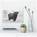 Picture of Cookie, the Cow  _GroupedProduct_Rectangle_Landscape_Photography _GroupedProduct_Rectangle_Landscape_Unframed_Print_Only_