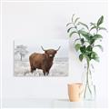 Picture of Cookie, the Cow  _GroupedProduct_Rectangle_Landscape_Photography _GroupedProduct_Rectangle_Landscape_Unframed_Print_Only_