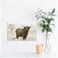 Picture of Cookie, the Cow  _GroupedProduct_Rectangle_Landscape_Photography _GroupedProduct_Rectangle_Landscape_Unframed_Print_Only_