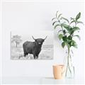 Picture of Cookie, the Cow  _GroupedProduct_Rectangle_Landscape_Photography _GroupedProduct_Rectangle_Landscape_Unframed_Print_Only_