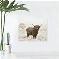 Picture of Cookie, the Cow  _GroupedProduct_Rectangle_Landscape_Photography _GroupedProduct_Rectangle_Landscape_Unframed_Print_Only_