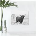 Picture of Cookie, the Cow  _GroupedProduct_Rectangle_Landscape_Photography _GroupedProduct_Rectangle_Landscape_Unframed_Print_Only_