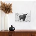 Picture of Cookie, the Cow  _GroupedProduct_Rectangle_Landscape_Photography _GroupedProduct_Rectangle_Landscape_Unframed_Print_Only_