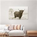 Picture of Cookie, the Cow  _GroupedProduct_Rectangle_Landscape_Photography _GroupedProduct_Rectangle_Landscape_Unframed_Print_Only_