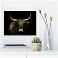Picture of Dixie, the Bull   _GroupedProduct_Rectangle_Landscape_Photography _GroupedProduct_Rectangle_Landscape_Unframed_Print_Only_