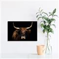 Picture of Dixie, the Bull   _GroupedProduct_Rectangle_Landscape_Photography _GroupedProduct_Rectangle_Landscape_Unframed_Print_Only_