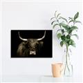 Picture of Dixie, the Bull   _GroupedProduct_Rectangle_Landscape_Photography _GroupedProduct_Rectangle_Landscape_Unframed_Print_Only_