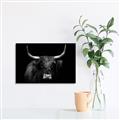 Picture of Dixie, the Bull   _GroupedProduct_Rectangle_Landscape_Photography _GroupedProduct_Rectangle_Landscape_Unframed_Print_Only_