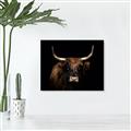 Picture of Dixie, the Bull   _GroupedProduct_Rectangle_Landscape_Photography _GroupedProduct_Rectangle_Landscape_Unframed_Print_Only_