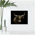 Picture of Dixie, the Bull   _GroupedProduct_Rectangle_Landscape_Photography _GroupedProduct_Rectangle_Landscape_Unframed_Print_Only_