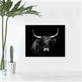 Picture of Dixie, the Bull   _GroupedProduct_Rectangle_Landscape_Photography _GroupedProduct_Rectangle_Landscape_Unframed_Print_Only_