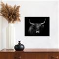 Picture of Dixie, the Bull   _GroupedProduct_Rectangle_Landscape_Photography _GroupedProduct_Rectangle_Landscape_Unframed_Print_Only_