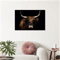 Picture of Dixie, the Bull   _GroupedProduct_Rectangle_Landscape_Photography _GroupedProduct_Rectangle_Landscape_Unframed_Print_Only_