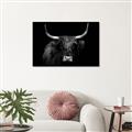 Picture of Dixie, the Bull   _GroupedProduct_Rectangle_Landscape_Photography _GroupedProduct_Rectangle_Landscape_Unframed_Print_Only_