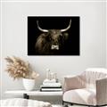 Picture of Dixie, the Bull   _GroupedProduct_Rectangle_Landscape_Photography _GroupedProduct_Rectangle_Landscape_Unframed_Print_Only_