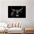 Picture of Dixie, the Bull   _GroupedProduct_Rectangle_Landscape_Photography _GroupedProduct_Rectangle_Landscape_Unframed_Print_Only_