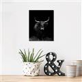 Picture of Dixie, the Bull II _GroupedProduct_Rectangle_Portrait_Photography _GroupedProduct_Rectangle_Portrait_Unframed_Print_Only_