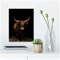 Picture of Dixie, the Bull II _GroupedProduct_Rectangle_Portrait_Photography _GroupedProduct_Rectangle_Portrait_Unframed_Print_Only_