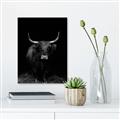 Picture of Dixie, the Bull II _GroupedProduct_Rectangle_Portrait_Photography _GroupedProduct_Rectangle_Portrait_Unframed_Print_Only_