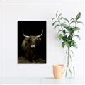 Picture of Dixie, the Bull II _GroupedProduct_Rectangle_Portrait_Photography _GroupedProduct_Rectangle_Portrait_Unframed_Print_Only_