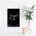 Picture of Dixie, the Bull II _GroupedProduct_Rectangle_Portrait_Photography _GroupedProduct_Rectangle_Portrait_Unframed_Print_Only_